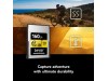 Lexar 160GB Professional CFexpress Type A Card GOLD Series LEXAR LCAGOLD160G-RNENG 